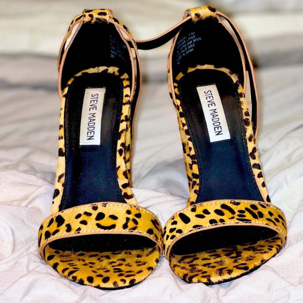Carrsonl Leopard 🐆